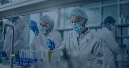 Medizinisches Fachpersonal bei der Auswertung medizinischer Bilder und digitaler diagnostischer Anzeigen.
