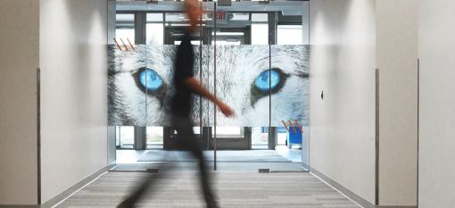 A double glass door with translucent arctic wolf eyes decals